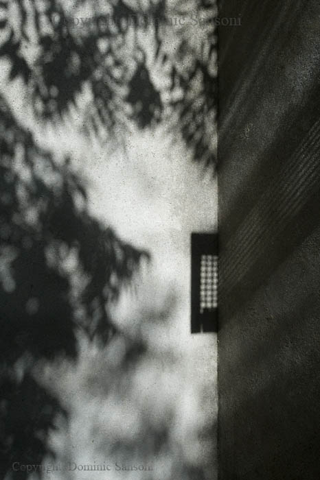 [DS_081011_8828_small.jpg]