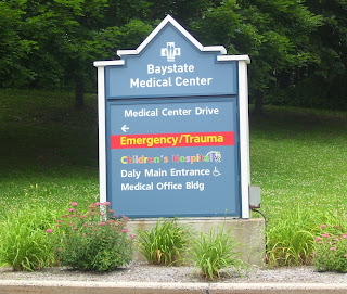 springfield east down go