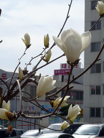[spring+2.jpg]