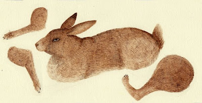 rabbit body