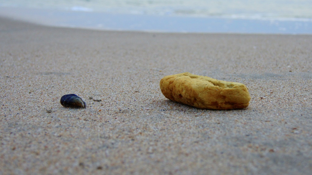 [VELHOS+CONHECIDOS+.JPG]