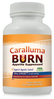 appetite suppressant,