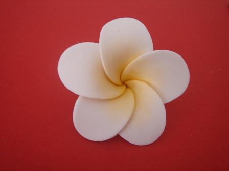 [frangipani+072A.jpg]