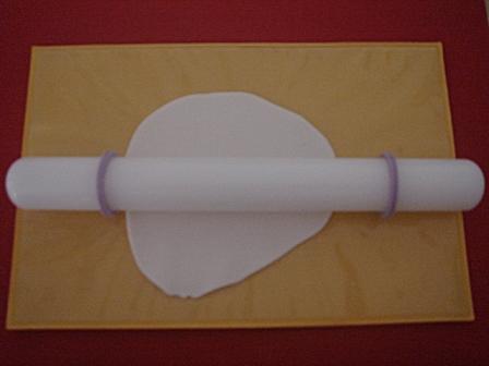 [frangipani+040A.jpg]