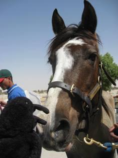 [IMG_9273.JPG]