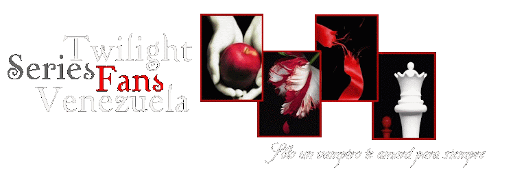 :: Sucursales TSFV ::