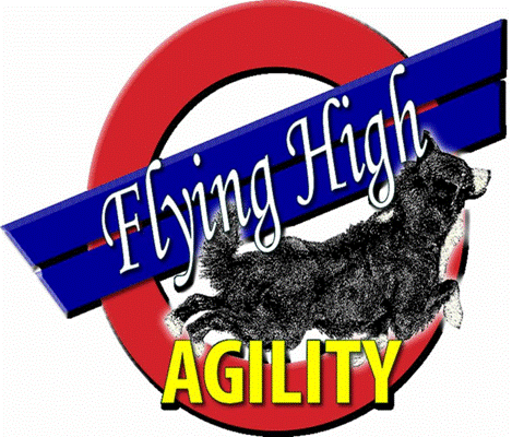 Flying High Agility / Janet Weyers