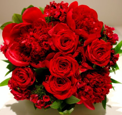 Beautiful Big Red Roses images
