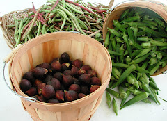 Early Morning Okra Pickin'