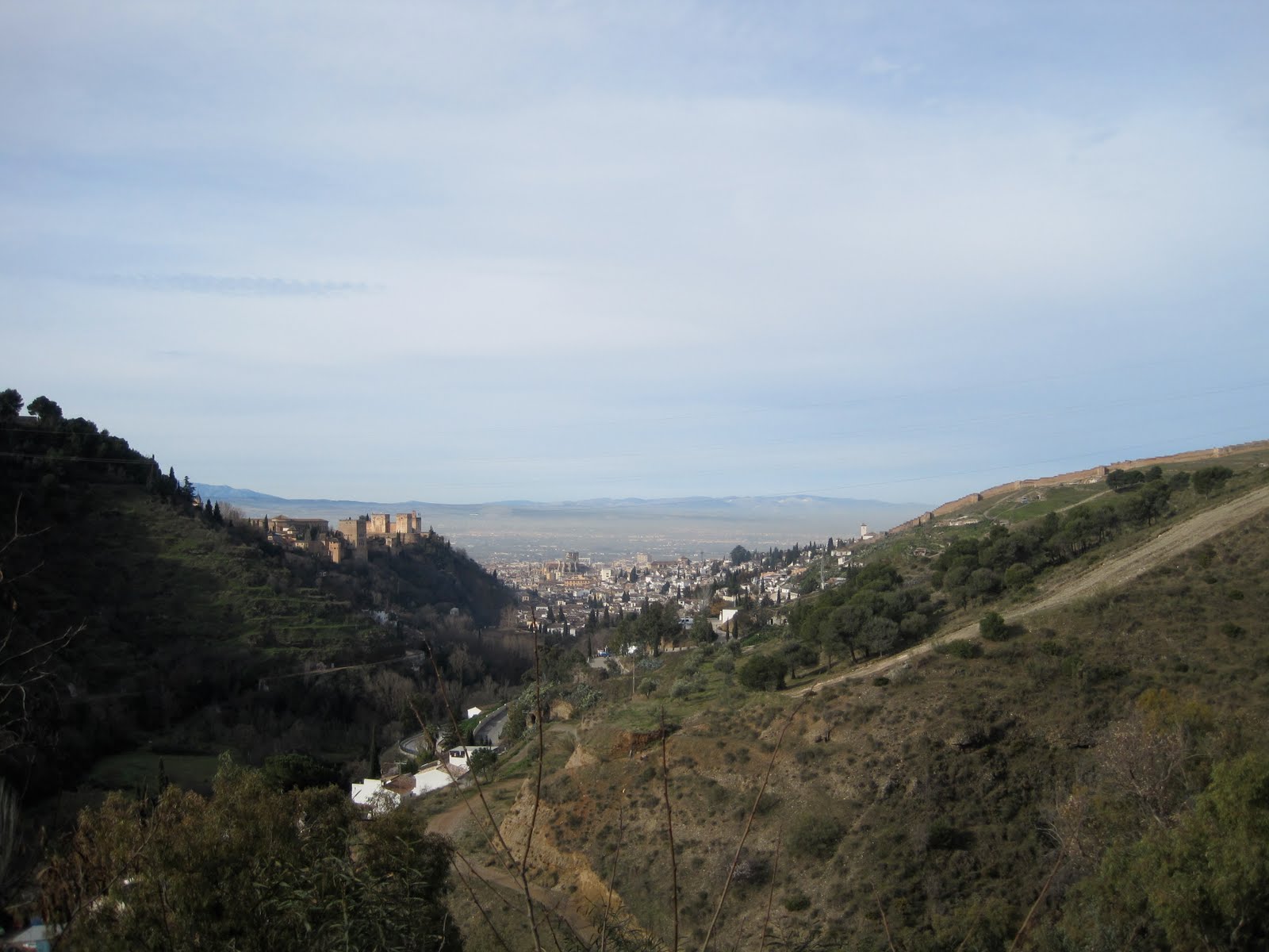 [IMG_3160.JPG]