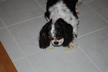 abbey day 7 having some cheese