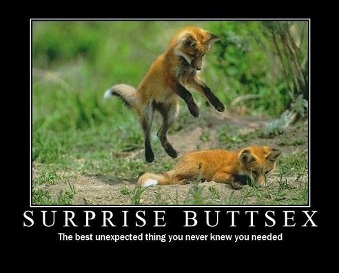 Inspiration Pictures Funny on Fun Pics Free Funny Motivational Posters