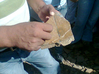 ESTUDIO DE SUELOS: ESTUDIO DE SUELOS