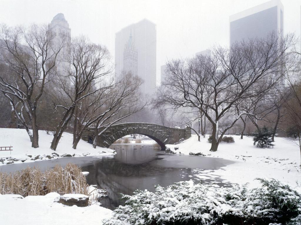 [central-park-new-york-winter1.jpg]
