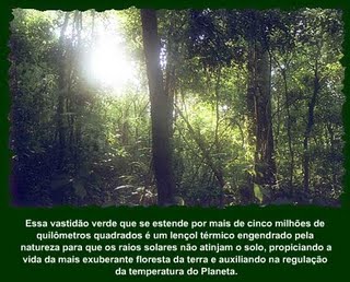 [amazonia.JPG]