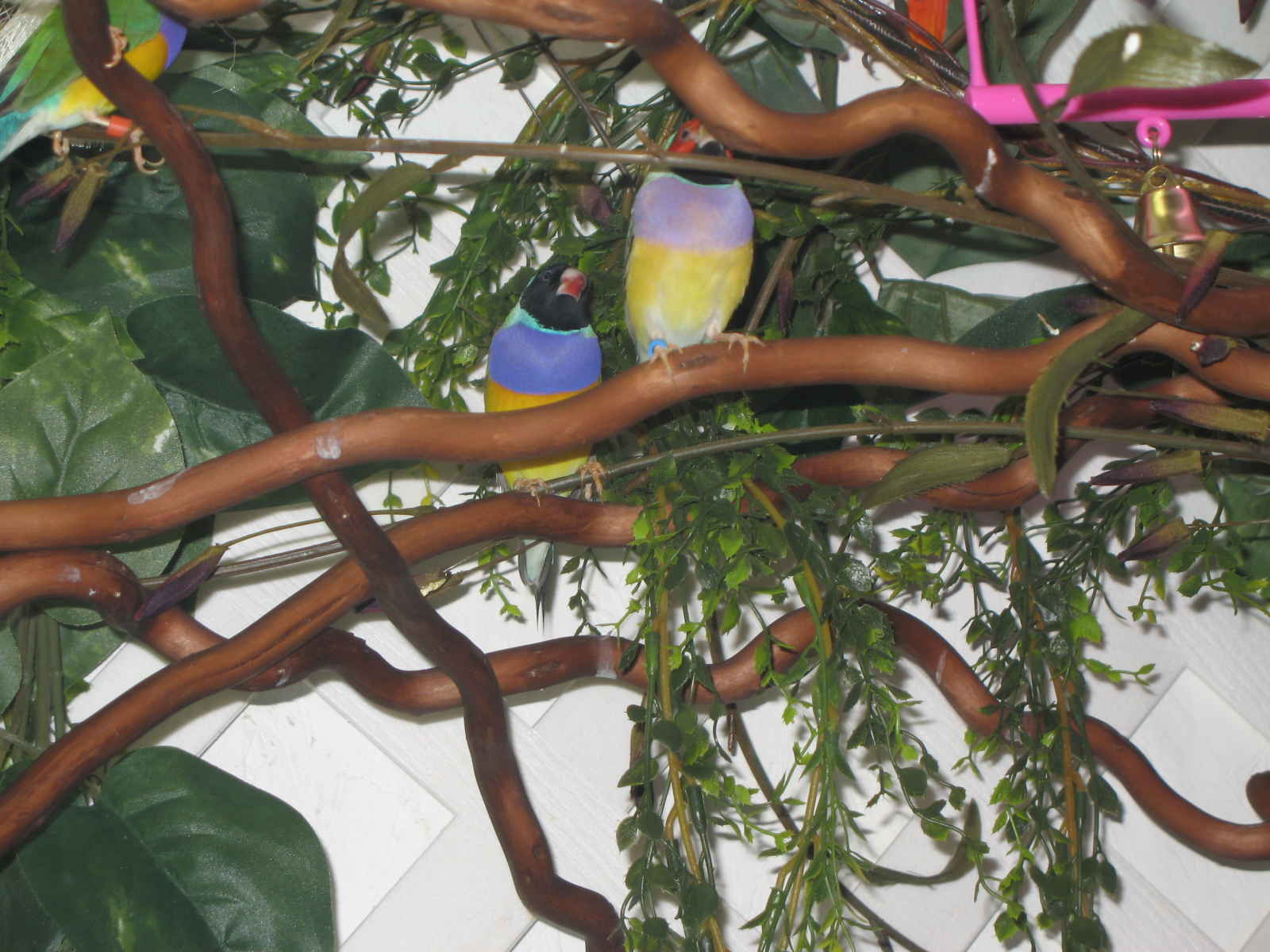 [TSQEY82AA38RKBK75J.jpg]