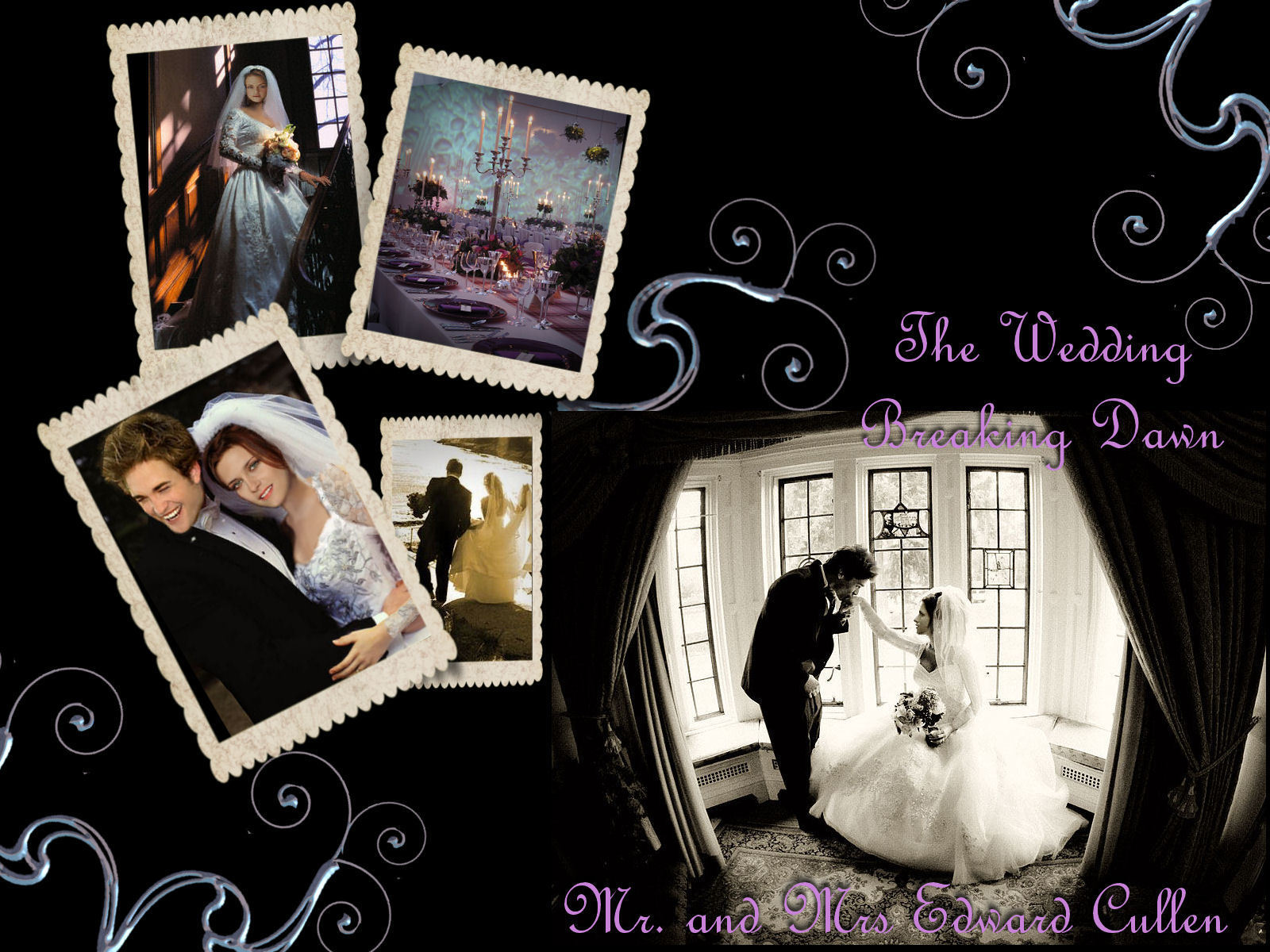 http://3.bp.blogspot.com/_Fr5jtSt05Hg/S0zXRFSUqEI/AAAAAAAASkE/rbPTzavq8hY/s1600/Breaking+Dawn+The-wedding-Breaking-Dawn-twilight-series-3534868-1600-1200.jpg