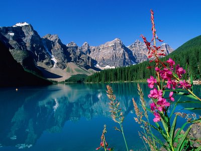 [natureza+1.jpg]