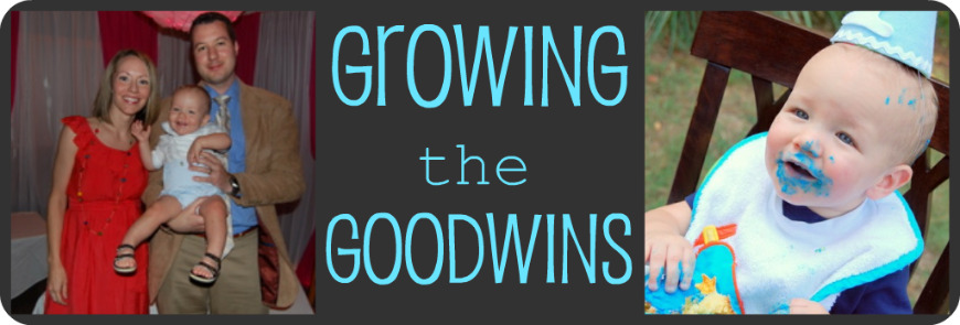 growing the goodwins