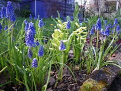 garden wall