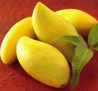 RipeMango