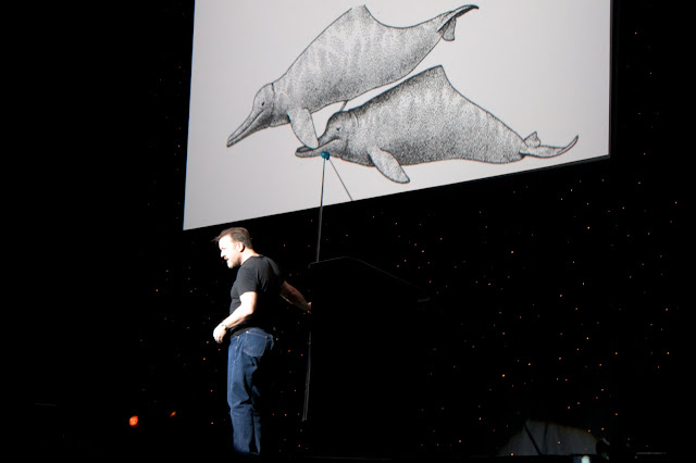 DOLPHINS.jpg