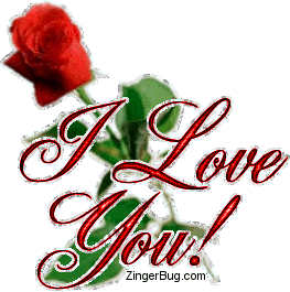Red Rose: LOVE ? Haha !