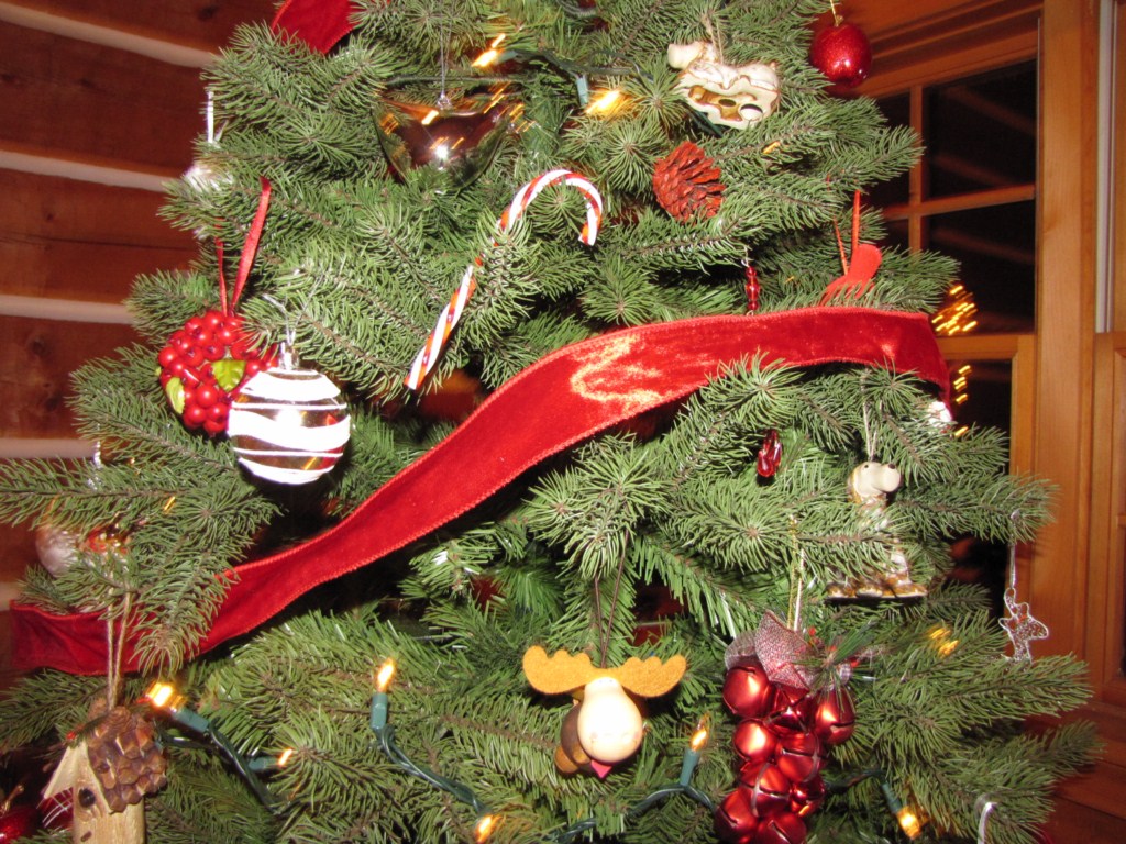 CoucouCanada Enfin un vrai sapin canadien