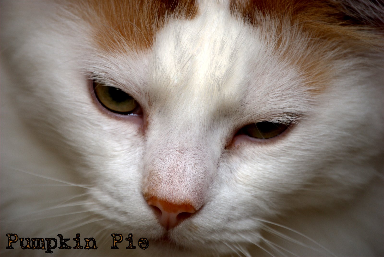 [DSC_0090.NEF.jpg]