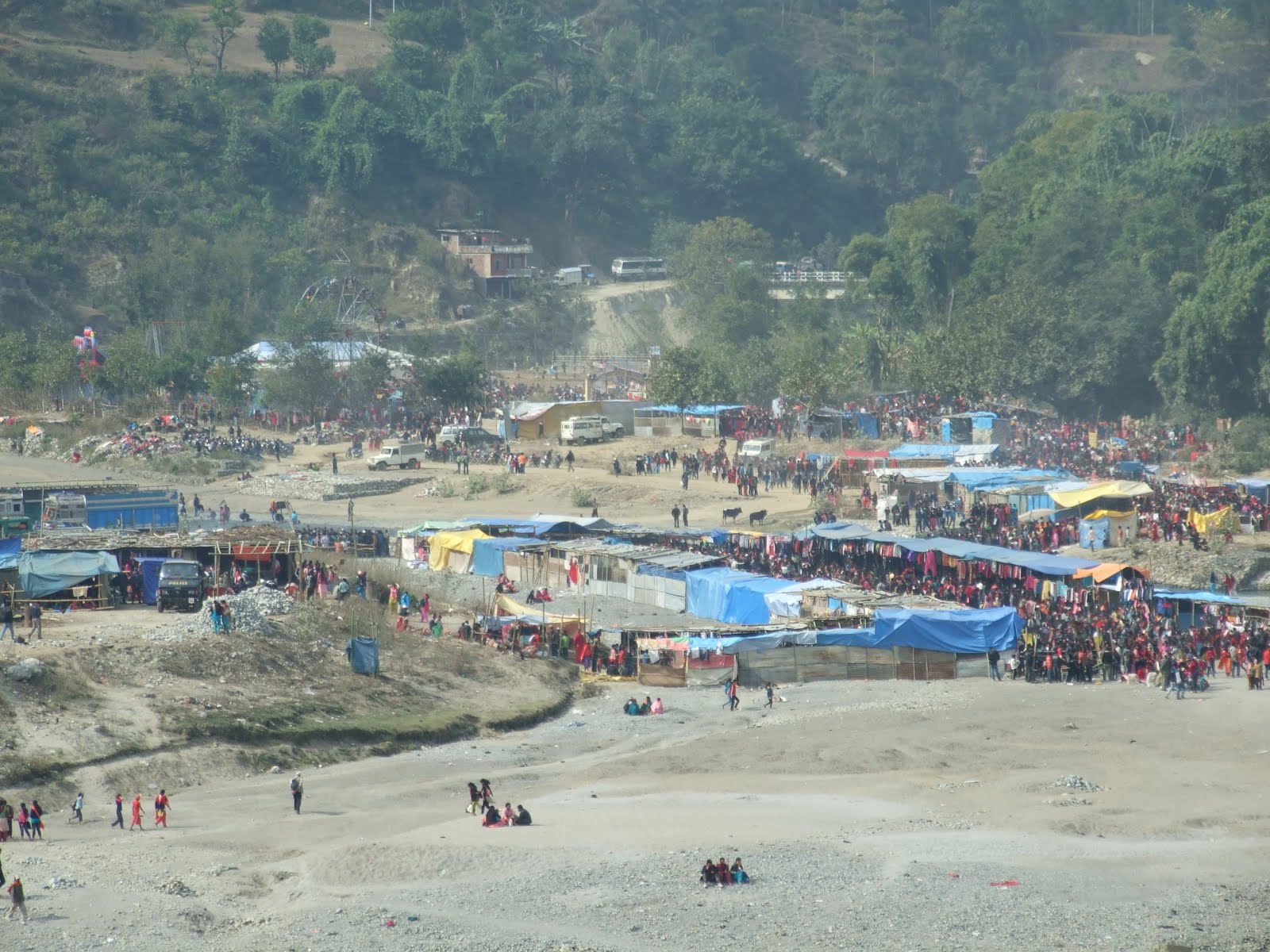 [img20100116091343.jpg]