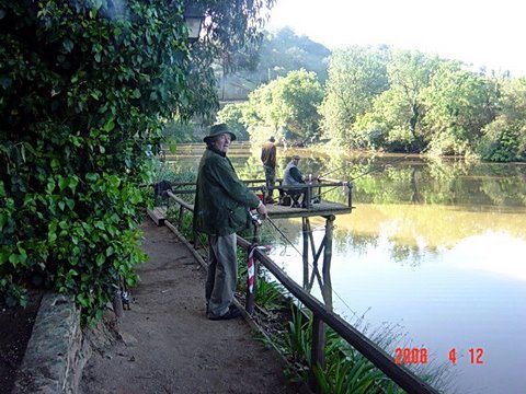 [dsc00017.jpg]
