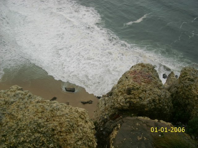 [DSCI0099.JPG]