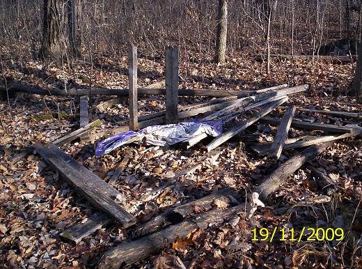 Forts In Woods