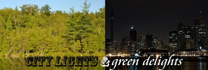 city lights and green delights