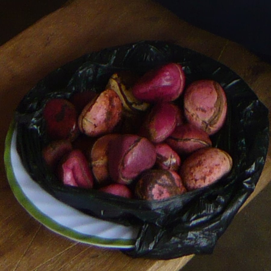 [P1010170_kolacrop.jpg]