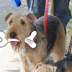 Molly. Bone Relay