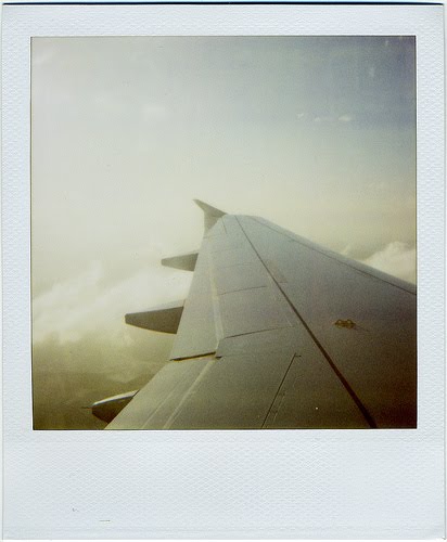 [Wing+Polaroid.jpg]