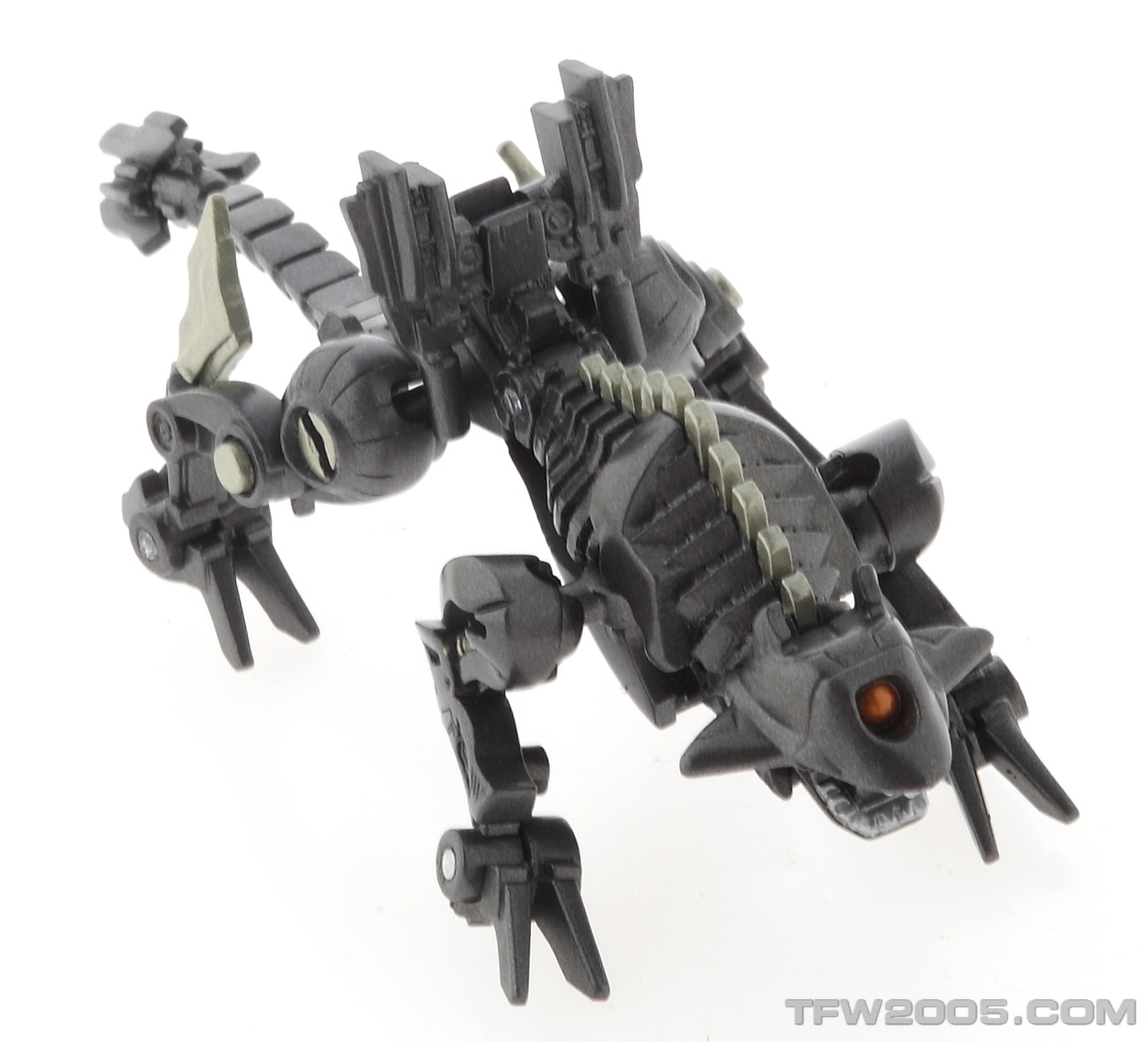 [Legends+Ravage01.jpg]