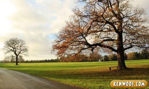 harewood beautiful view