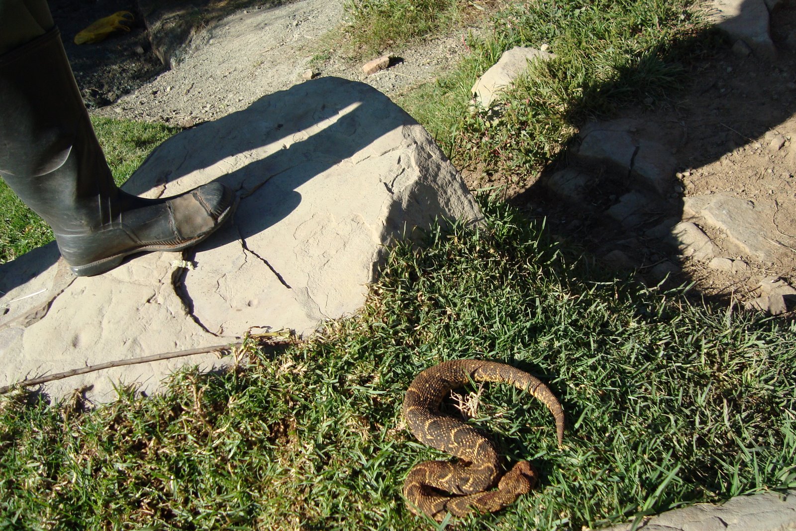 [DSC00083.JPG]
