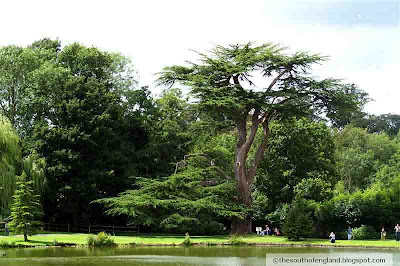 wood garden leeds castle kent