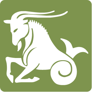 Capricornio horoscopo 2009