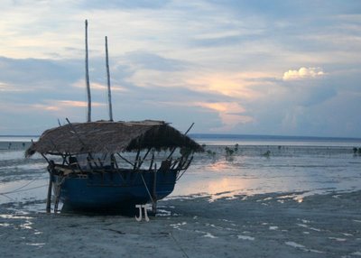 [ilhapi_IMG_7824-1]