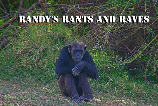 Randy's Rants and Raves