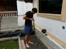 Cutting Sugarcane