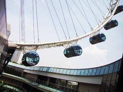 Singapore Flyer Picture on Mommy Cow The Singapore Flyer A Riveting 360 Degree View Of The Lion