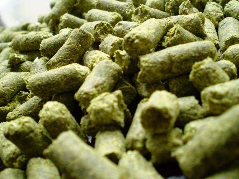 [hops.jpg]