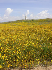 The Lighthouse at Pathos