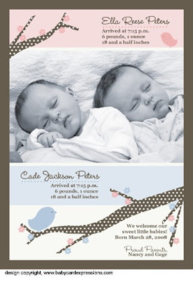 twin photo baby birth announcement bird on a branch