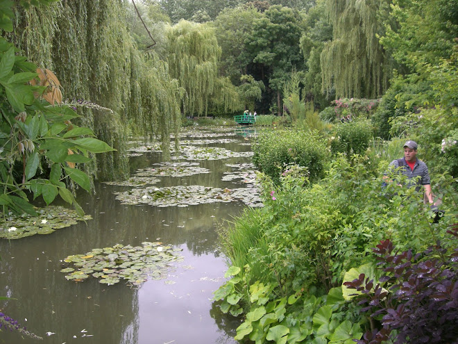 Famous Waterlillies at Giverny